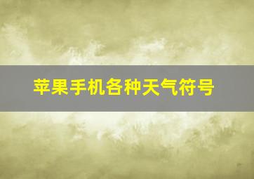 苹果手机各种天气符号