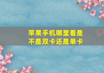 苹果手机哪里看是不是双卡还是单卡