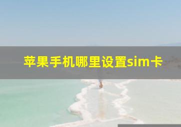 苹果手机哪里设置sim卡