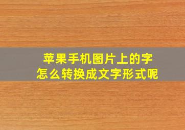 苹果手机图片上的字怎么转换成文字形式呢