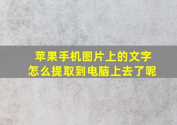 苹果手机图片上的文字怎么提取到电脑上去了呢