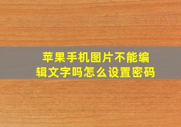 苹果手机图片不能编辑文字吗怎么设置密码