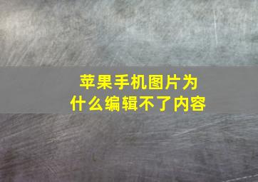 苹果手机图片为什么编辑不了内容