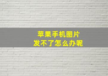 苹果手机图片发不了怎么办呢