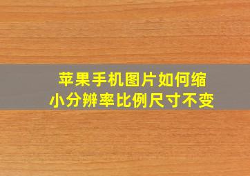 苹果手机图片如何缩小分辨率比例尺寸不变