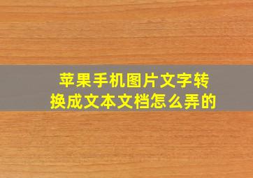 苹果手机图片文字转换成文本文档怎么弄的