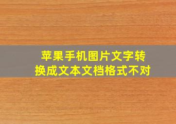 苹果手机图片文字转换成文本文档格式不对