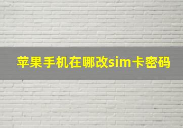 苹果手机在哪改sim卡密码