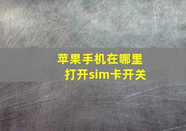 苹果手机在哪里打开sim卡开关