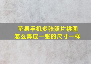 苹果手机多张照片拼图怎么弄成一张的尺寸一样