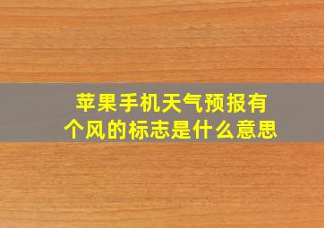 苹果手机天气预报有个风的标志是什么意思