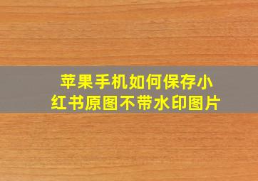 苹果手机如何保存小红书原图不带水印图片