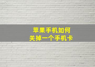 苹果手机如何关掉一个手机卡