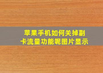 苹果手机如何关掉副卡流量功能呢图片显示