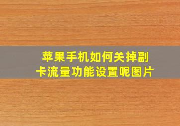 苹果手机如何关掉副卡流量功能设置呢图片