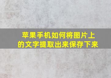 苹果手机如何将图片上的文字提取出来保存下来