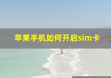 苹果手机如何开启sim卡