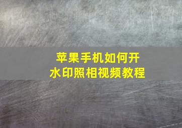 苹果手机如何开水印照相视频教程