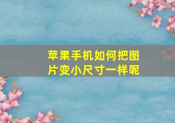 苹果手机如何把图片变小尺寸一样呢