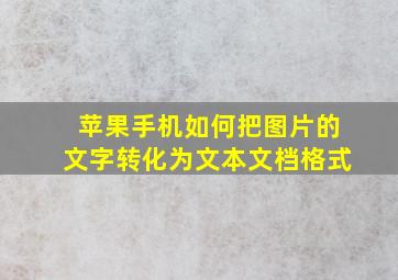 苹果手机如何把图片的文字转化为文本文档格式