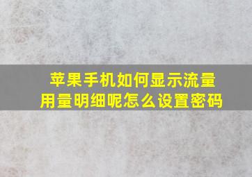 苹果手机如何显示流量用量明细呢怎么设置密码