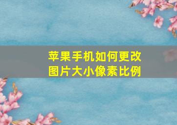 苹果手机如何更改图片大小像素比例