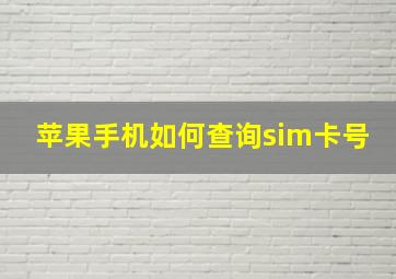 苹果手机如何查询sim卡号