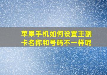 苹果手机如何设置主副卡名称和号码不一样呢