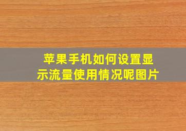 苹果手机如何设置显示流量使用情况呢图片