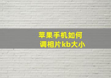 苹果手机如何调相片kb大小