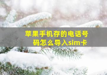 苹果手机存的电话号码怎么导入sim卡