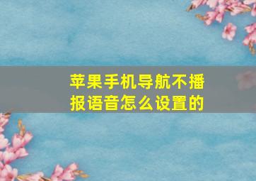 苹果手机导航不播报语音怎么设置的