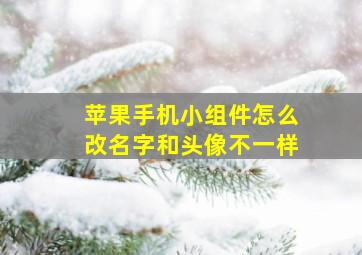 苹果手机小组件怎么改名字和头像不一样