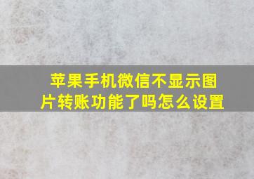 苹果手机微信不显示图片转账功能了吗怎么设置