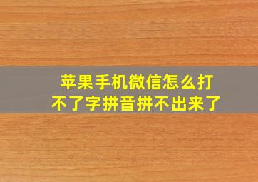 苹果手机微信怎么打不了字拼音拼不出来了