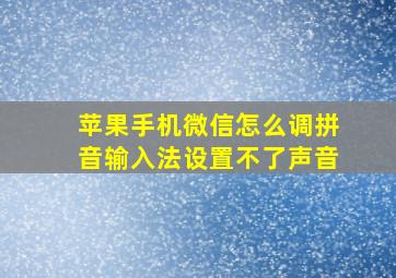 苹果手机微信怎么调拼音输入法设置不了声音