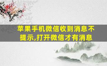 苹果手机微信收到消息不提示,打开微信才有消息