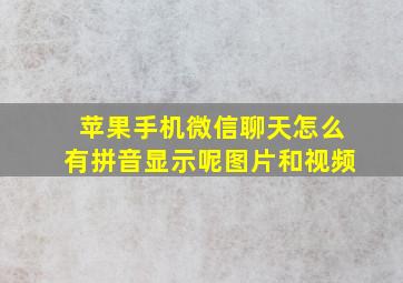 苹果手机微信聊天怎么有拼音显示呢图片和视频