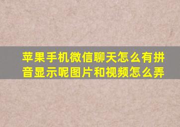 苹果手机微信聊天怎么有拼音显示呢图片和视频怎么弄