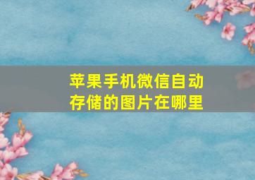 苹果手机微信自动存储的图片在哪里