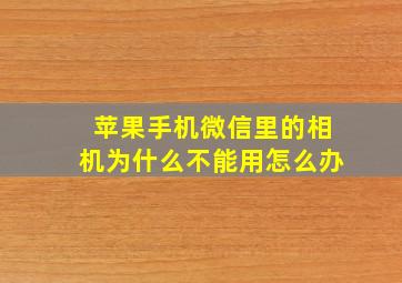 苹果手机微信里的相机为什么不能用怎么办