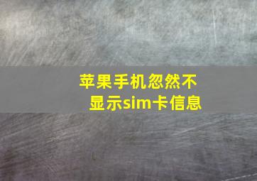 苹果手机忽然不显示sim卡信息