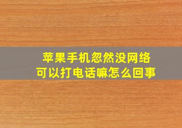 苹果手机忽然没网络可以打电话嘛怎么回事