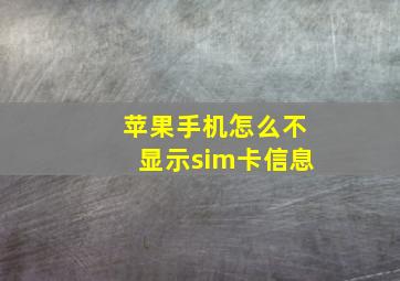 苹果手机怎么不显示sim卡信息