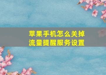 苹果手机怎么关掉流量提醒服务设置