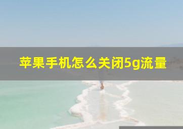 苹果手机怎么关闭5g流量