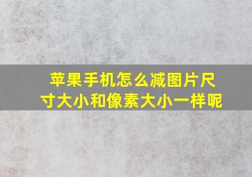 苹果手机怎么减图片尺寸大小和像素大小一样呢