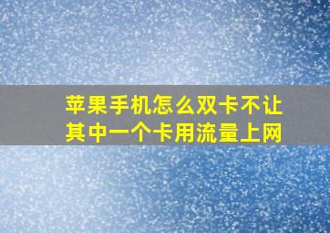 苹果手机怎么双卡不让其中一个卡用流量上网