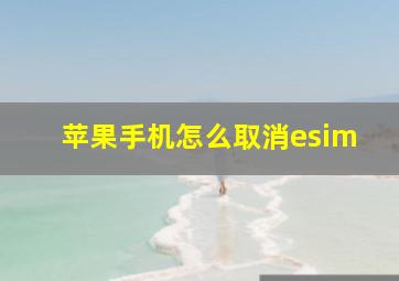 苹果手机怎么取消esim