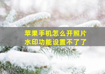 苹果手机怎么开照片水印功能设置不了了